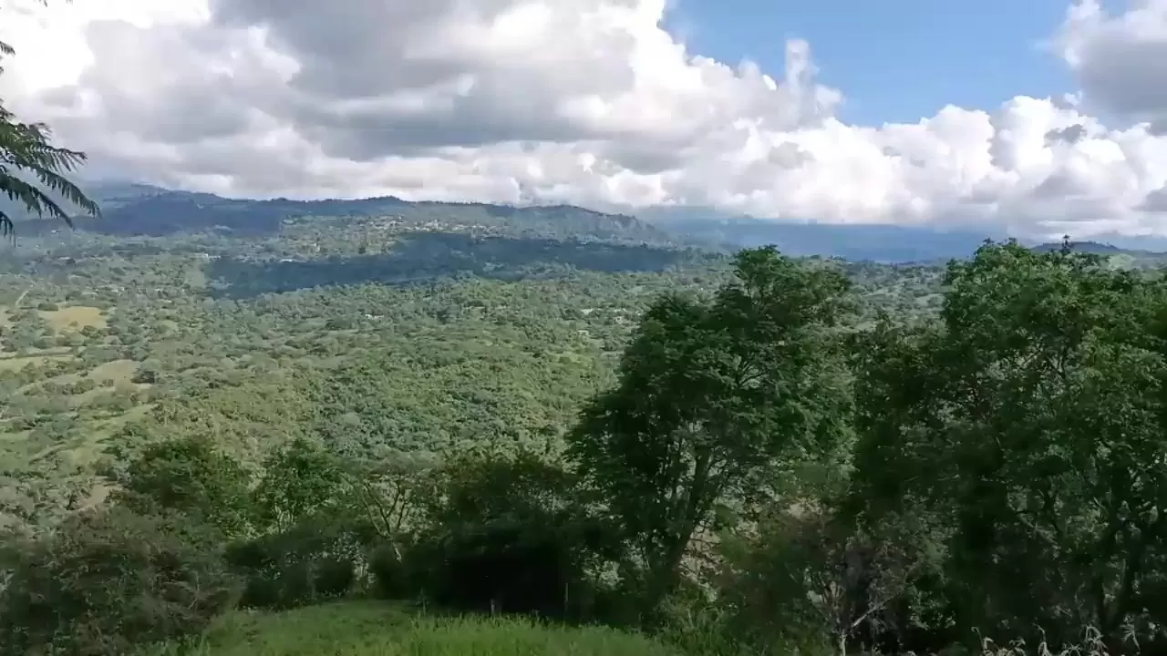 Порно видео в лесу. Девушку красиво выебали в лесу. Сучка сосёт хуй в лесу